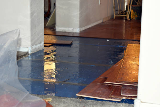 Professional Basement Flood Cleanup technician working in Echola, AL